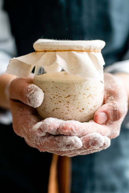 Sourdough starter