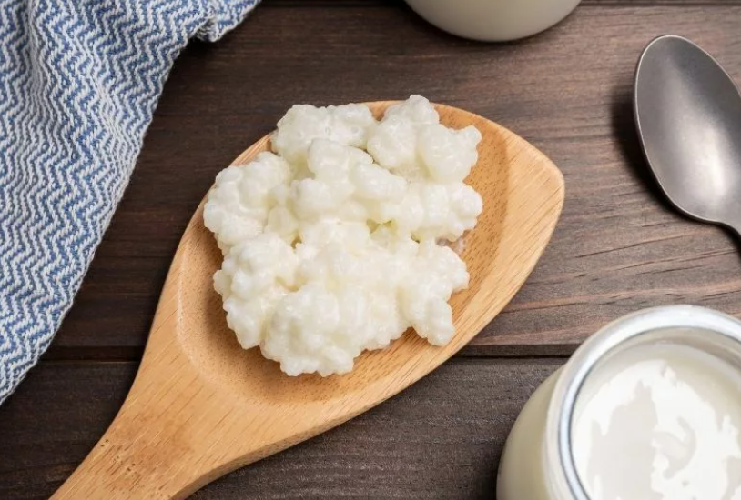 Fresh Milk Kefir Grains (1Tbsp)