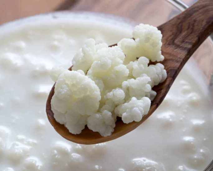 Fresh Milk Kefir Grains (1Tbsp)